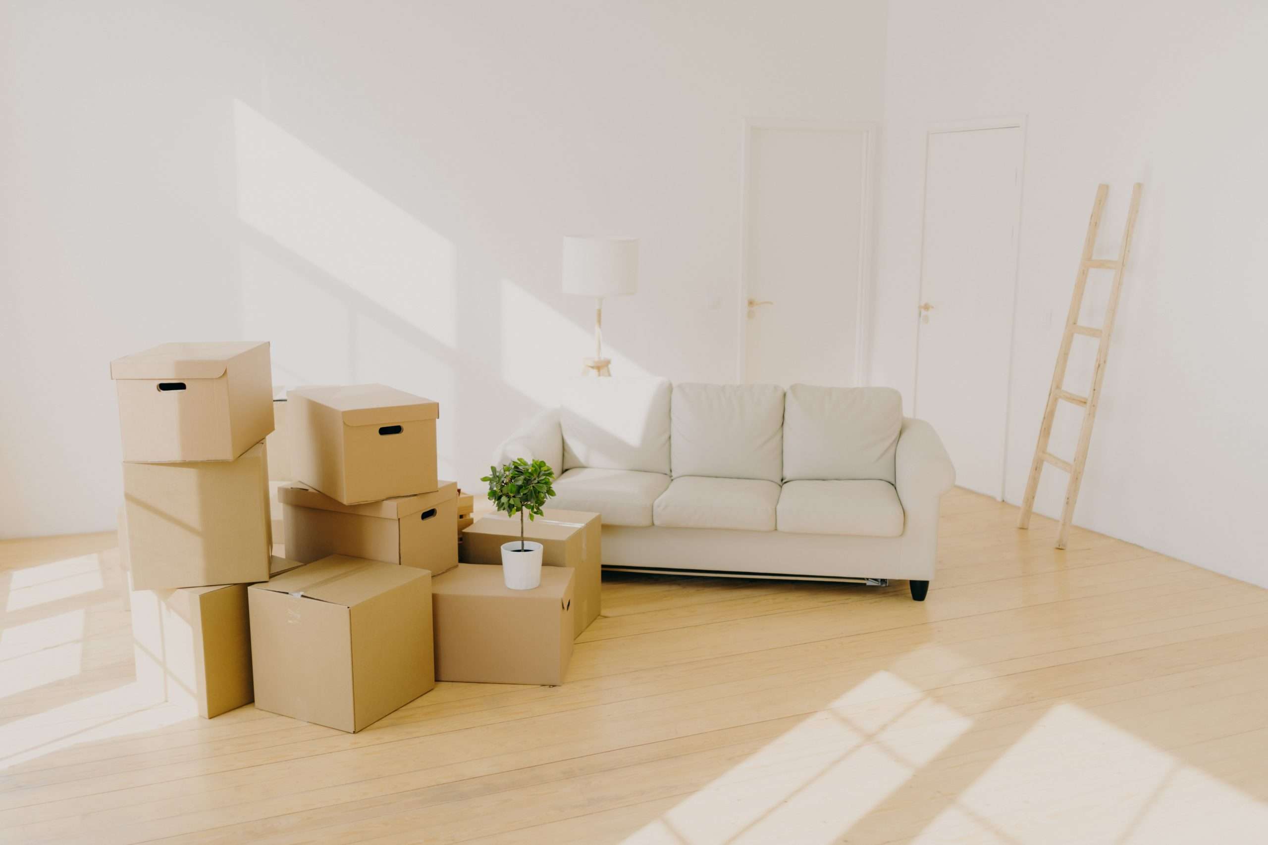 spacious-room-with-sofa-piles-of-cardboard-boxes-2025-03-05-23-17-26-utc